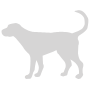 Veterinary Surgeries